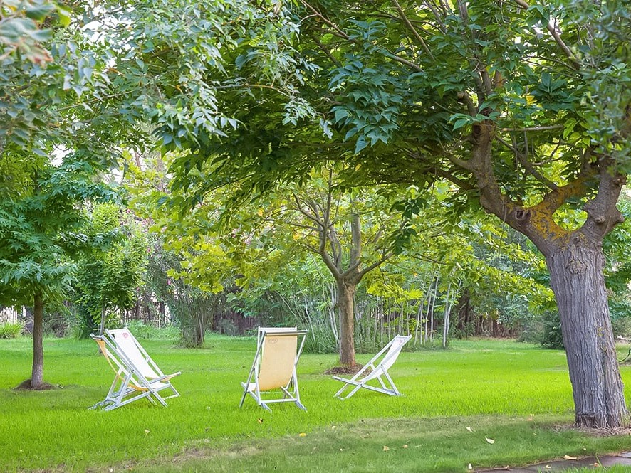 Detail of the park